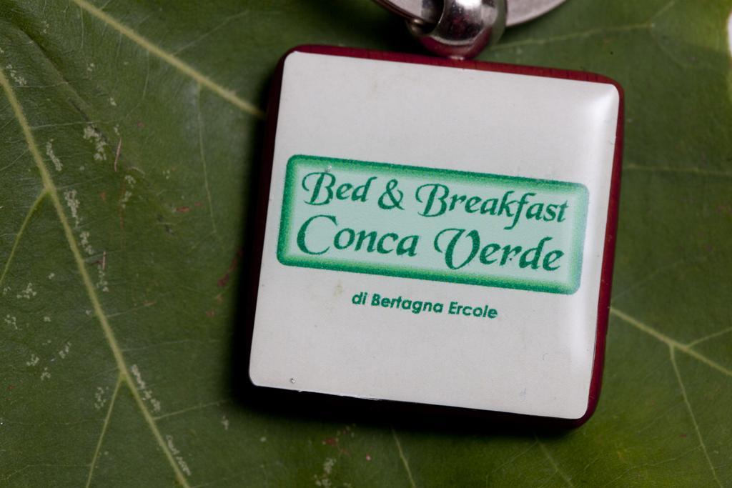 Bed & Breakfast Conca Verde Cavriana Buitenkant foto